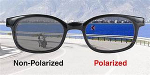 Polarized